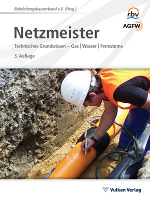 cover image of Netzmeister
